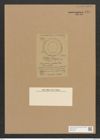 Campylodiscus obsoletus Cleve (de-Toni-Nr.: Genus 57, Species 2461) Zeichnungen Sammlung Grunow Nr. 4961 (NHMW-BOT-W0373185)